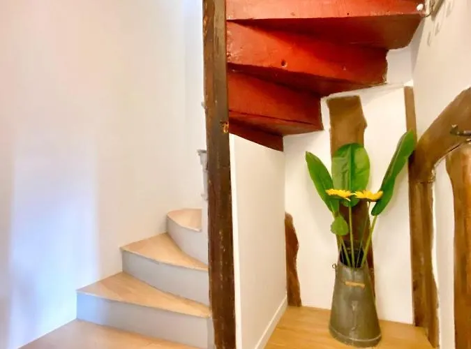 La Terrasse Notre Dame - Character House - 4p - Center Holiday home *